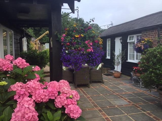 The Coach House Bed & Breakfast Rudgwick Eksteriør bilde